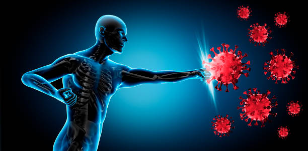 How to keep your immune system boosted to stay ahead of the cold season!